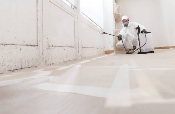 24/7 Emergency Attic Mold Removal experts in Houston, TX